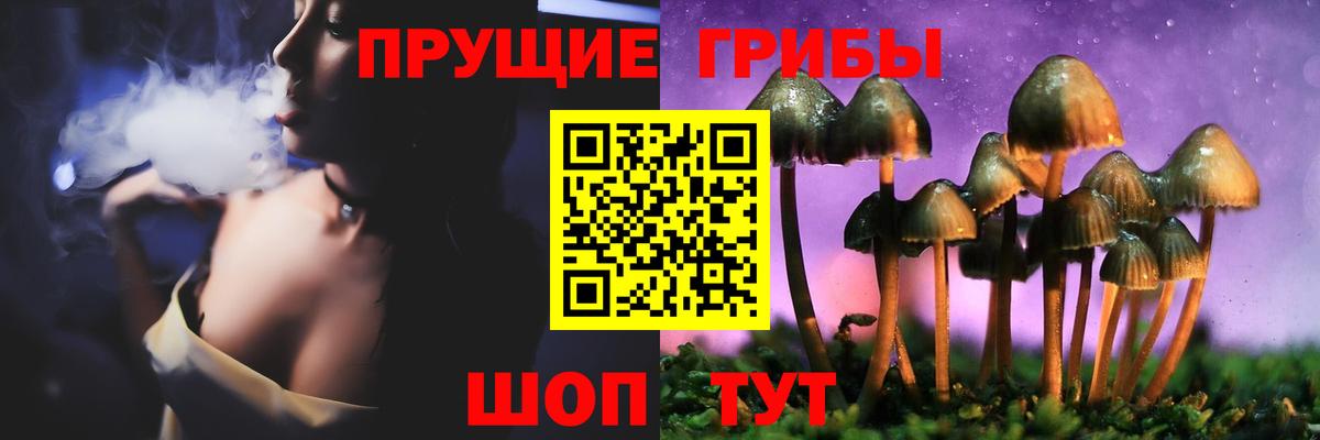 Галлюциногенные грибы GOLDEN TEACHER  Вход с VPN  Назрань 